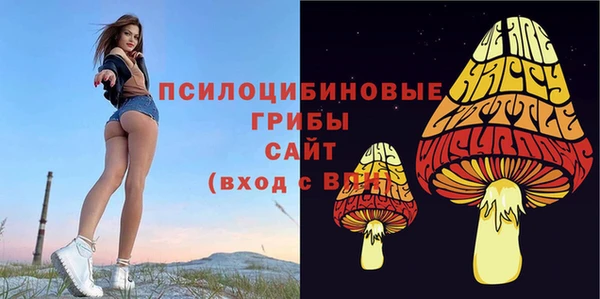 COCAINE Алексеевка
