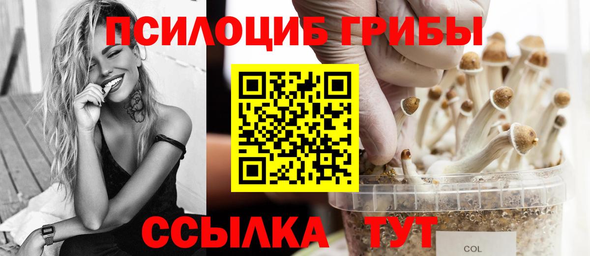 Псилоцибиновые грибы MAGIC MUSHROOMS  Вход с VPN  как найти наркотики  Белгород 